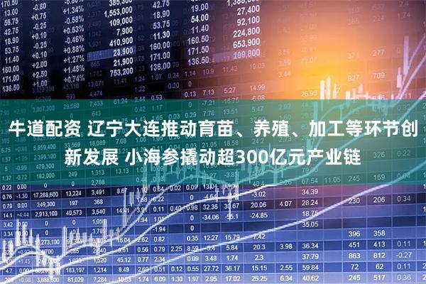 牛道配资 辽宁大连推动育苗、养殖、加工等环节创新发展 小海参撬动超300亿元产业链