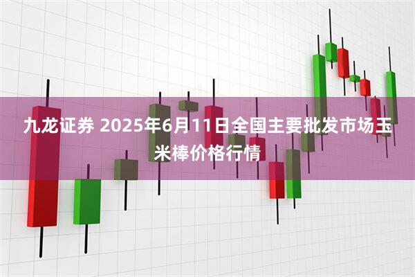 九龙证券 2025年6月11日全国主要批发市场玉米棒价格行情