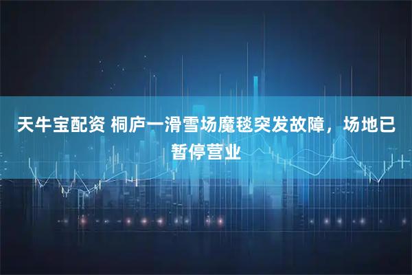 天牛宝配资 桐庐一滑雪场魔毯突发故障，场地已暂停营业